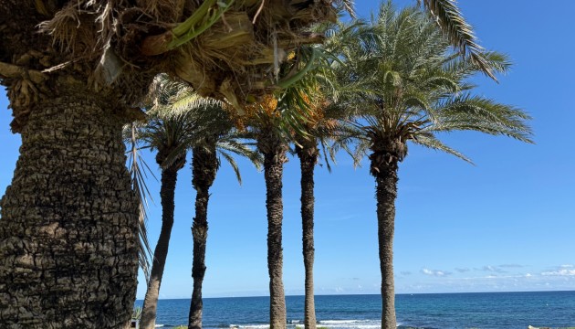 Videresalg - Leilighet - Torrevieja - La Veleta