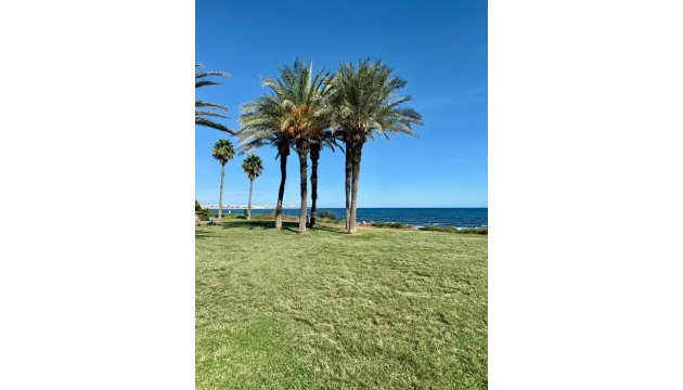 Videresalg - Leilighet - Torrevieja - La Veleta