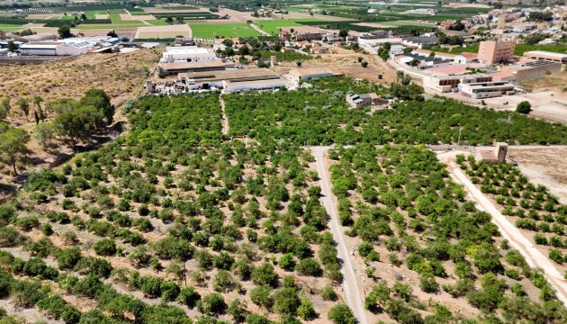 Videresalg - Country House - Orihuela