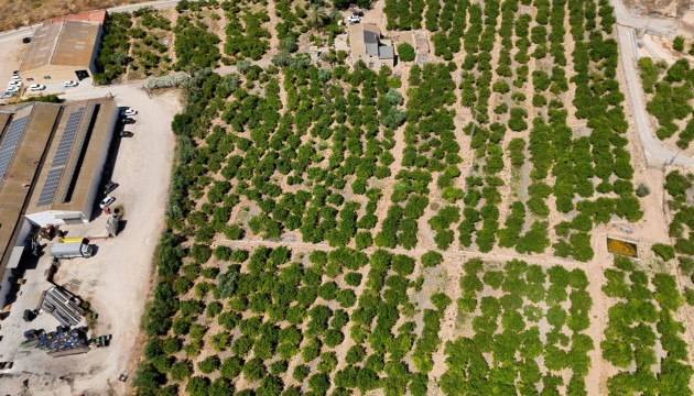 Videresalg - Country House - Orihuela