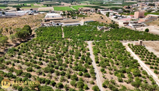 Videresalg - Country House - Orihuela