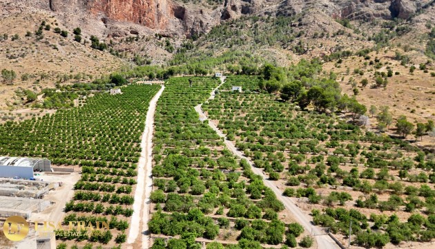 Videresalg - Country House - Orihuela