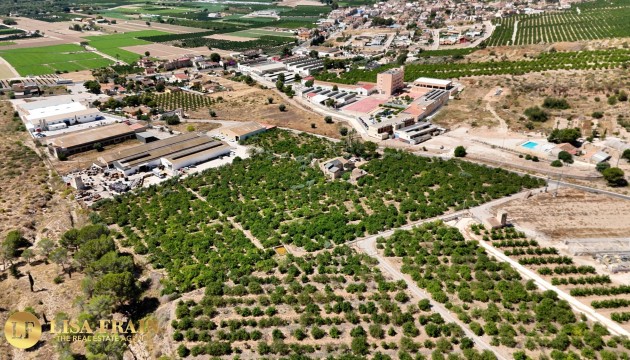 Videresalg - Country House - Orihuela