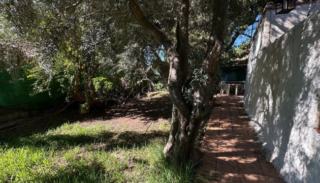Resale - Detached Villa - Orihuela Costa - Punta Prima