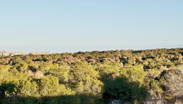 Begagnad - Radhus - Torrevieja