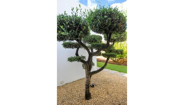 Resale - Detached Villa - Orihuela - Las Colinas Golf