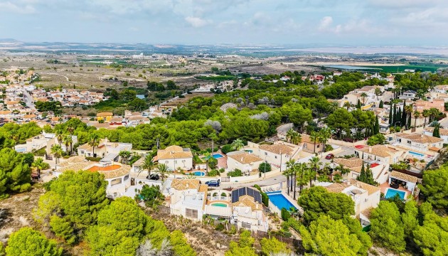 Resale - Detached Villa - San Miguel de Salinas