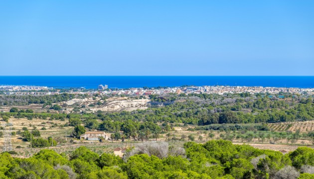 Wiederverkauf - Detached Villa - San Miguel de Salinas - San Miguel
