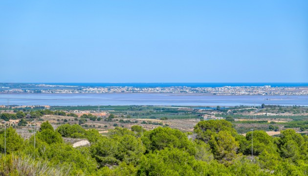 Wiederverkauf - Detached Villa - San Miguel de Salinas - San Miguel