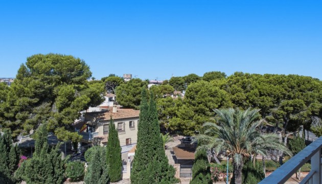 Перепродажа - Квартира - Orihuela