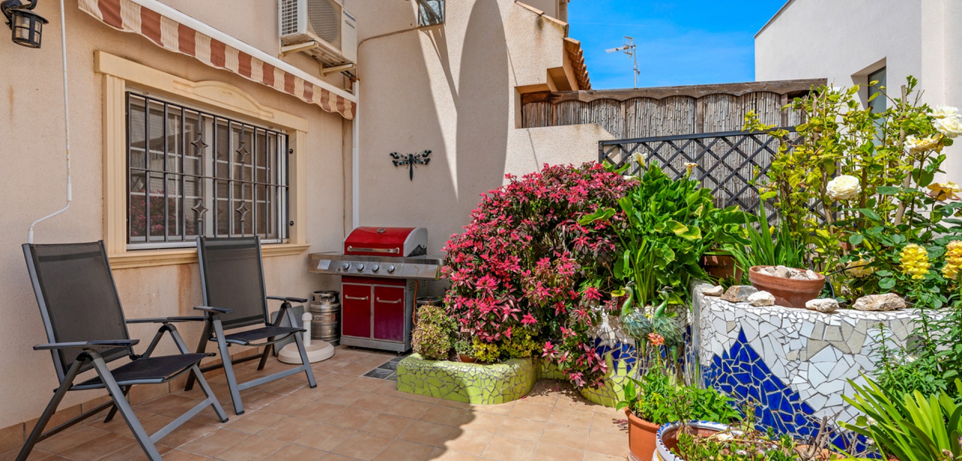 House in San Miguel de Salinas - Image 3