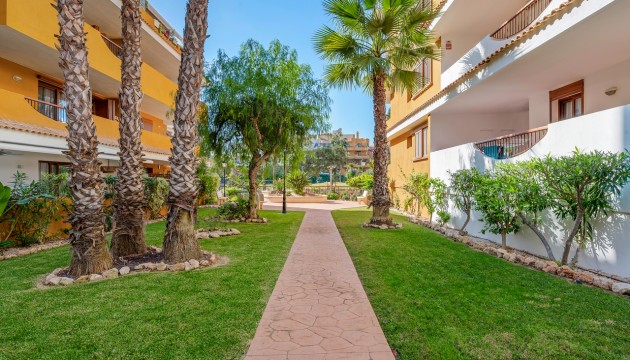 Begagnad - Lägenhet - Orihuela Costa - Punta Prima