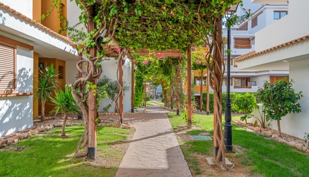 Begagnad - Lägenhet - Orihuela Costa - Punta Prima